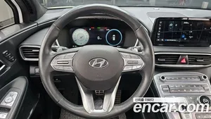 Hyundai Santa Fe, 2020 — миниатюра 19