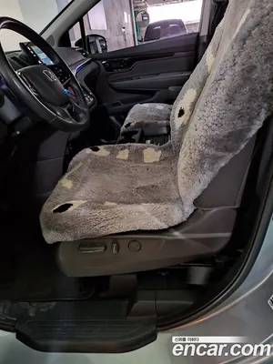 Honda Odyssey, 2018 — миниатюра 10