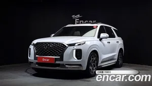 Hyundai Palisade, 2021 — миниатюра 1