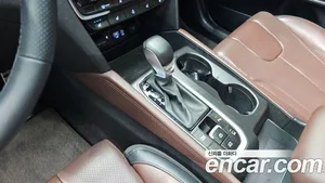 Hyundai Santa Fe, 2019 — миниатюра 12