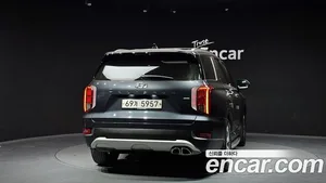 Hyundai Palisade, 2019 — миниатюра 4