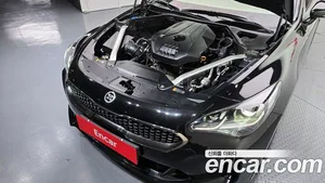Kia Stinger, 2019 — миниатюра 6