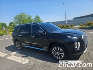 Hyundai Palisade, 2020 — миниатюра 2