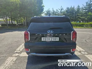 Hyundai Palisade, 2020 — миниатюра 4