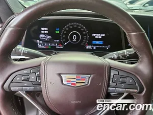 Cadillac Escalade, 2021 — миниатюра 8