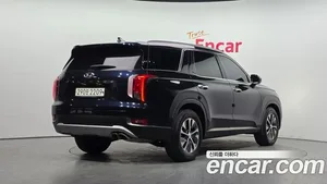 Hyundai Palisade, 2020 — миниатюра 2
