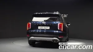 Hyundai Palisade, 2019 — миниатюра 4