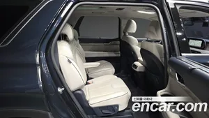 Hyundai Palisade, 2019 — миниатюра 12