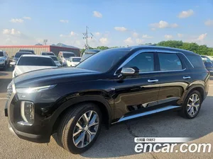 Hyundai Palisade, 2019 — миниатюра 1