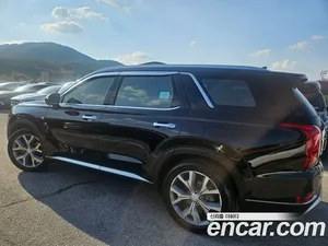 Hyundai Palisade, 2019 — миниатюра 2