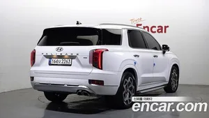 Hyundai Palisade, 2020 — миниатюра 2