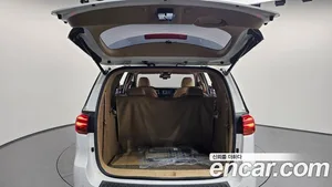 Kia Carnival, 2019 — миниатюра 19