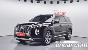 Hyundai Palisade, 2019 — миниатюра 1