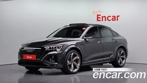 Audi SQ8 e-tron, 2024 — миниатюра 1