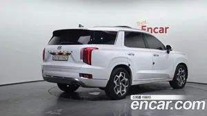 Hyundai Palisade, 2020 — миниатюра 2