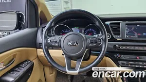 Kia Carnival, 2018 — миниатюра 13