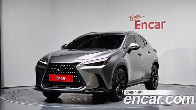 Lexus NX, 2025 — фото автомобиля из Кореи