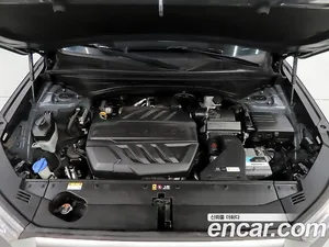 Hyundai Palisade, 2019 — миниатюра 19