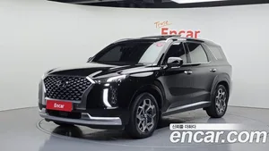 Hyundai Palisade, 2020 — миниатюра 1