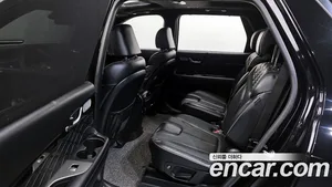Hyundai Palisade, 2020 — миниатюра 13