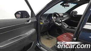 Hyundai Palisade, 2019 — миниатюра 12