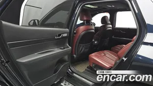 Hyundai Palisade, 2019 — миниатюра 15