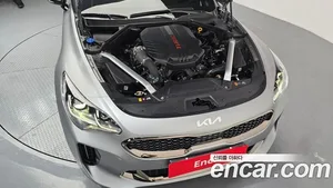 Kia Stinger, 2023 — миниатюра 6