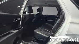 Hyundai Palisade, 2020 — миниатюра 12