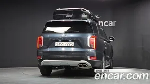 Hyundai Palisade, 2019 — миниатюра 4