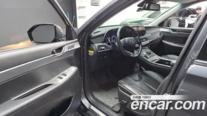 Hyundai Palisade, 2019 — миниатюра 13