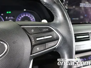 Hyundai Palisade, 2020 — миниатюра 17