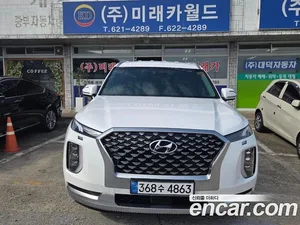 Hyundai Palisade, 2020 — миниатюра 1