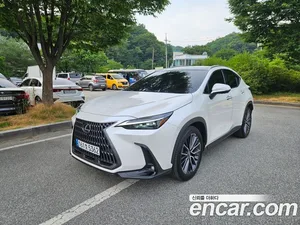 Lexus NX, 2024 — миниатюра 1