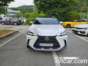 Lexus NX, 2024 — миниатюра 2