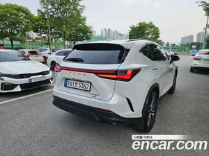 Lexus NX, 2024 — миниатюра 3