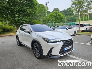 Lexus NX, 2024 — миниатюра 4