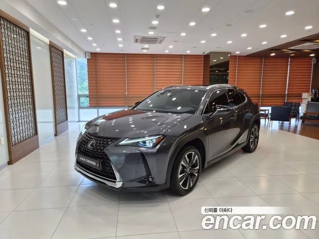 Lexus UX, 2024 — фото автомобиля из Кореи