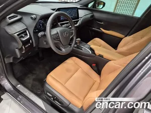 Lexus UX, 2024 — миниатюра 12