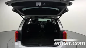 Hyundai Palisade, 2019 — миниатюра 6