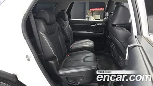 Hyundai Palisade, 2019 — миниатюра 12