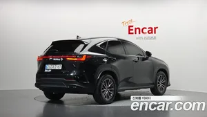 Lexus NX, 2025 — миниатюра 2