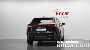 Lexus NX, 2025 — миниатюра 4