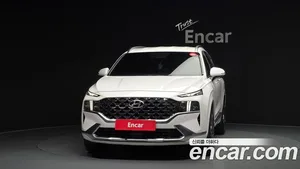 Hyundai Santa Fe, 2020 — миниатюра 3