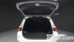Hyundai Santa Fe, 2020 — миниатюра 26