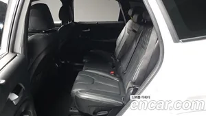 Hyundai Santa Fe, 2020 — миниатюра 16