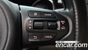 Kia Carnival, 2016 — миниатюра 24