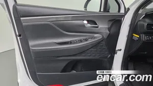Hyundai Santa Fe, 2019 — миниатюра 14