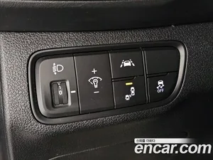 Hyundai Santa Fe, 2020 — миниатюра 15