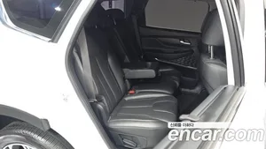 Hyundai Santa Fe, 2019 — миниатюра 17