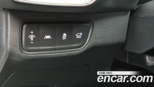 Hyundai Santa Fe, 2019 — миниатюра 25